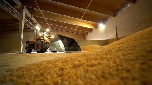 Criza agricolă în România: Cum măsurile Ministerului Agriculturii pun în pericol întregul sector agricol