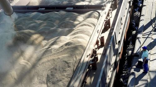 Patru operatori de cereale din Portul Constanța, amendaţi cu câte 15.000 lei pentru poluarea aerului: S-au produs emisii de praf şi pulberi în atmosferă, care s-au dispersat în zonele adiacente punctelor de lucru