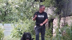 Statistici îngrijorătoare. Crește alarmant numărul de amenzi aplicate în primele 7 luni ale anului pentru rele tratamente aplicate animalelor, abuzuri, abandonuri sau nereguli găsite la adăposturi