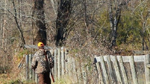 Șef de ocol silvic suspectat că fură curent electric de cinci ani / Vecin: „Toate becurile din curtea locuinței sale se aprindeau simultan cu cele de la iluminatul public din comună”