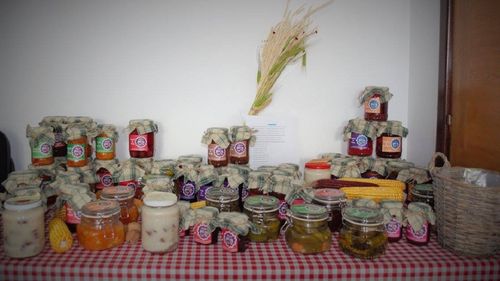 Șefa Institutului de Geriatrie„Ana Aslan”, trimisă în judecată în dosarul „Anotimpuri la borcan”/ Managerul este acuzat de DNA de schimbarea destinaţiei fondurilor europene pe când conducea Asociaţia React