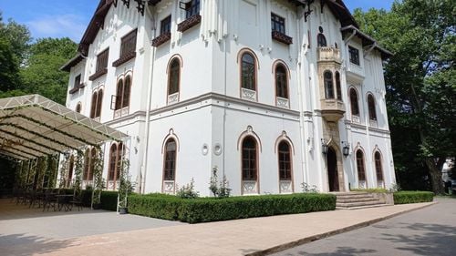 Cum au ratat trei instituții publice să cumpere, fără licitație, cel mai vast domeniu pentru evenimente din România. Palatul și Parcul Știrbey au ajuns, în final, la o apropiată a familiei lui Dan Voiculescu
