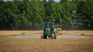 Planul pentru reducerea pesticidelor a ieșit din discuție, afirmă comisarul european pentru agricultură