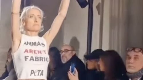 Prezentarea de modă a Victoriei Beckham la Paris, întreruptă de activiştii Peta
