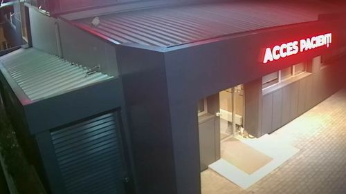 O pisică gestantă a venit la o clinică veterinară din Iași. „A mieunat puternic la ușă” ca să fie primită | VIDEO emoționant