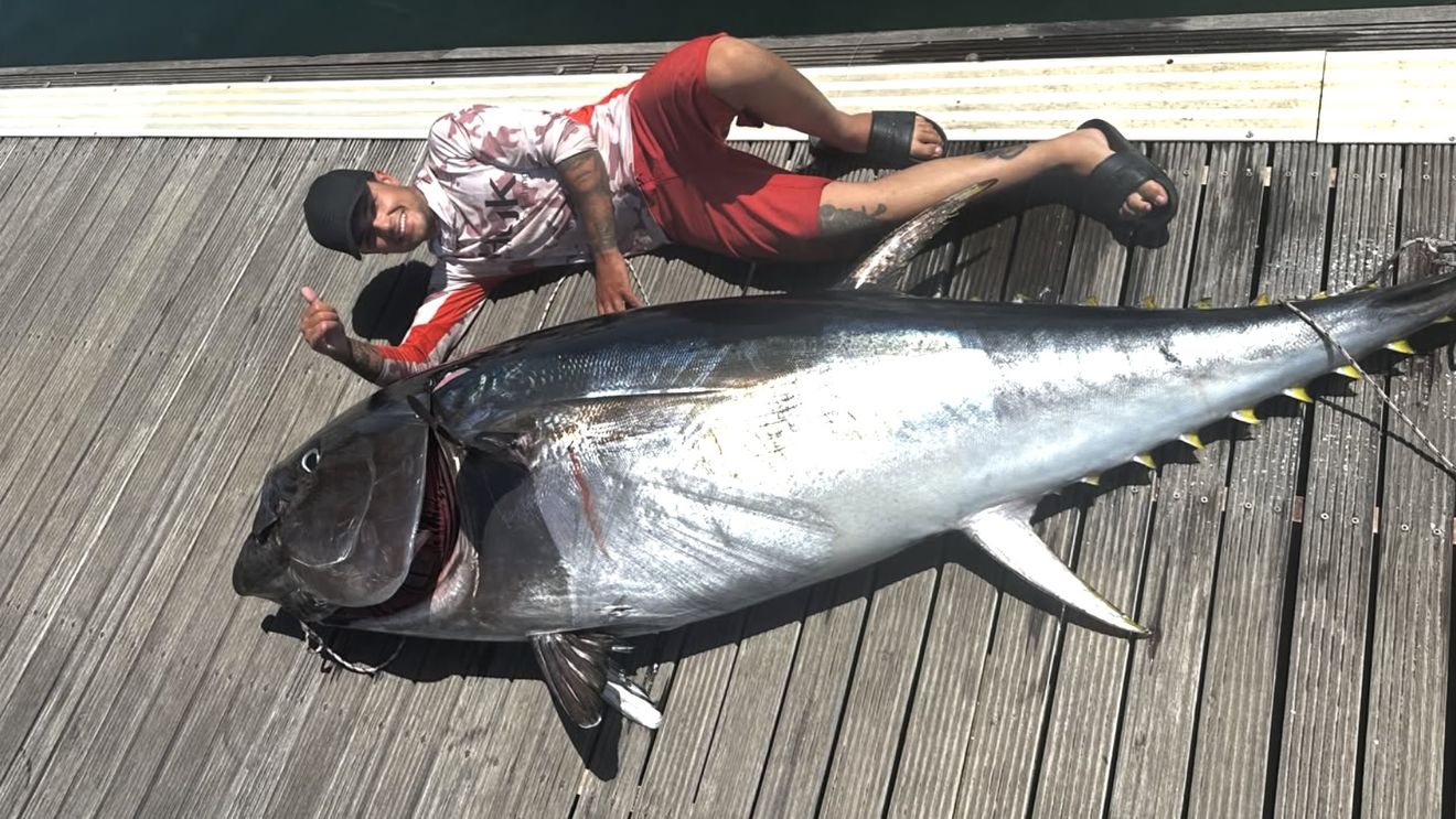 Un frizer italian a prins în Sardinia un ton de 168 de kilograme / „Unul dintre cele mai mari exemplare din mările noastre” / Tonul roșu poate trăi până la 40 de ani și poate atinge aproape 70 de kilometri pe oră