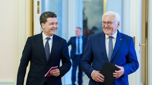 Nicuşor Dan, întrevedere cu preşedintele Germaniei, Frank-Walter Steinmeier/ ”Au încurajat Guvernele şi companiile din ambele ţări să intensifice cooperarea economică”