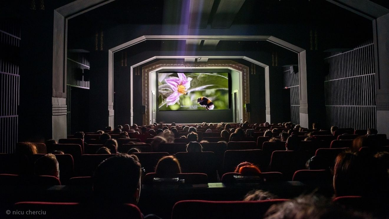 Cinematograful ARTA din Cluj împlineşte 110 ani / E cel mai vechi cinema din țară / Va fi proiectat "Cabaret", film cu opt premii Oscar
