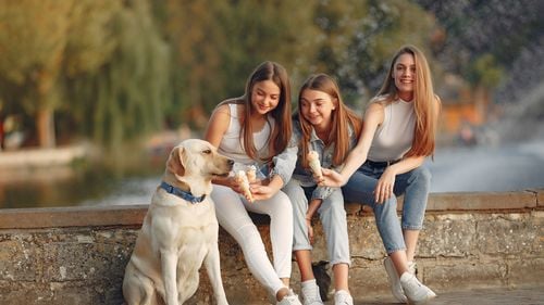 Noua modă printre tinerii cu animăluțe: Mâncare gătită în casă, vacanțe împreună și decizii de mutare în funcție de cățel sau pisică