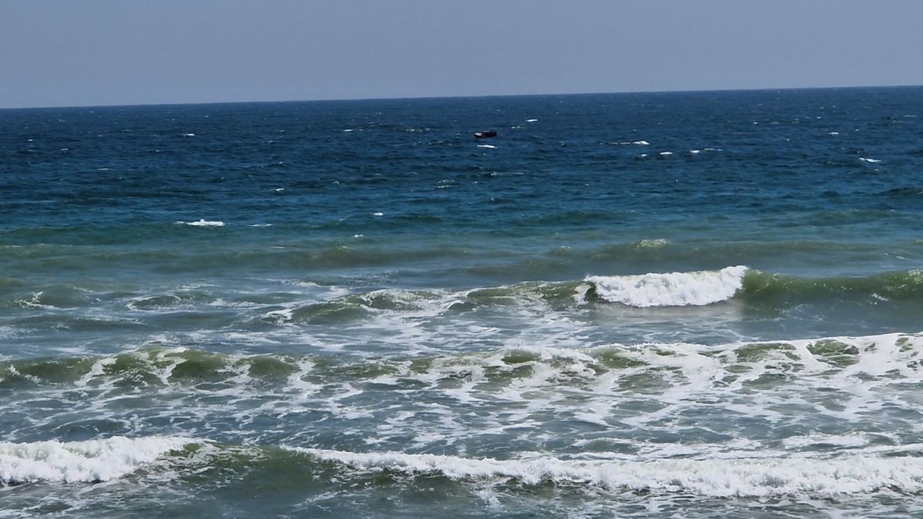 Au fost identificate 26 de specii invazive în Marea Neagră. Nouă dintre ele sunt crustacee şi restul fac parte din zoobentos