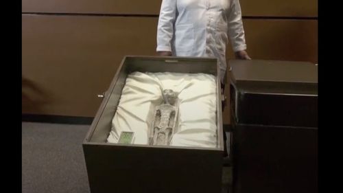 VIDEO Congresul mexican a organizat o audiere pe tema OZN-urilor / Au fost prezentate presupuse corpuri extraterestre / Două "corpuri" minuscule, expuse în cutii, au câte trei degete la fiecare mână şi capete alungite