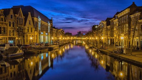 Olanda: Liderul extremei drepte, Geert Wilders, şi partenerii săi au stabilit componenţa viitorului guvern