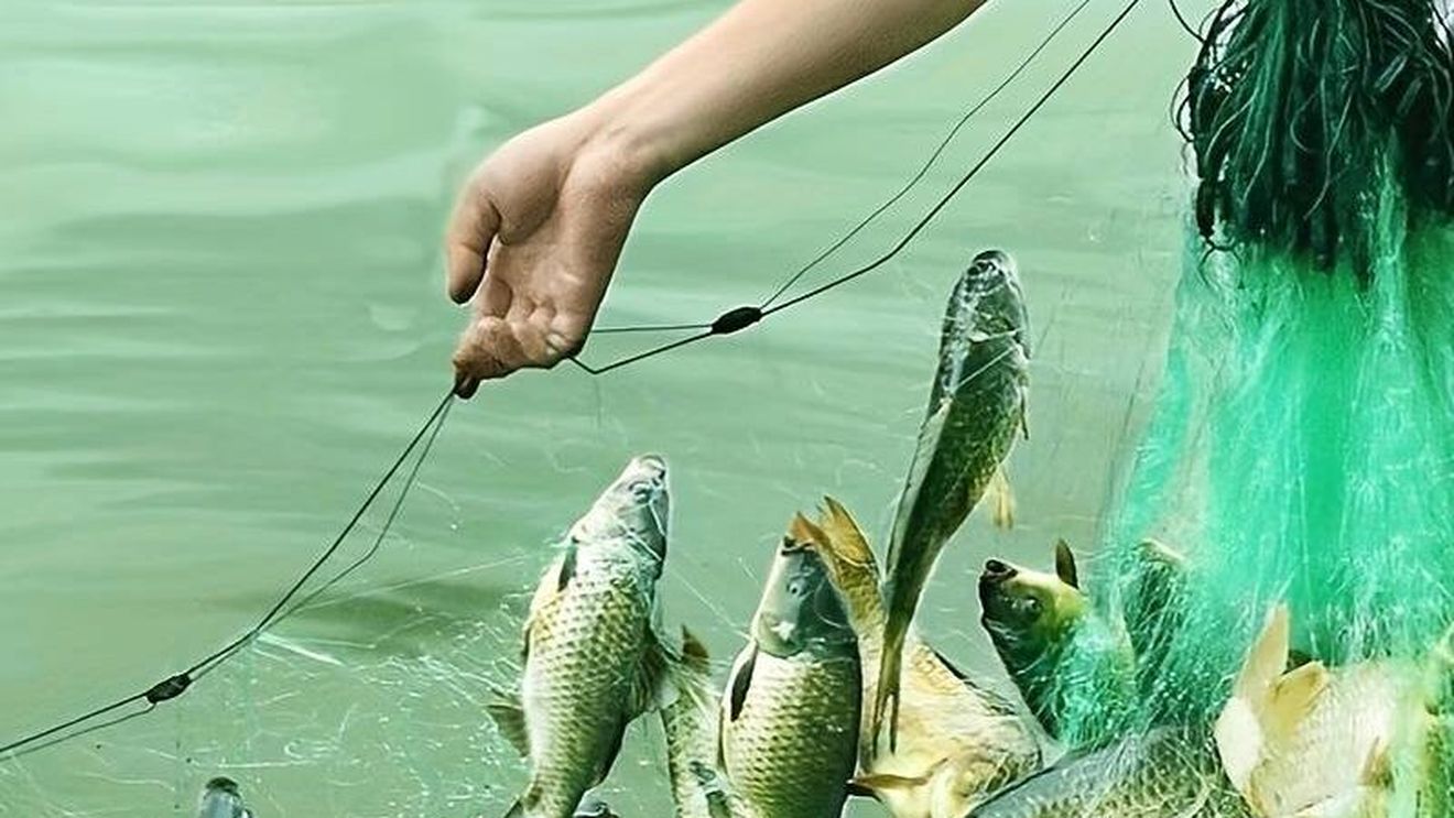 12 persoane reţinute în Mureș pentru că ar fi sustras 2,5 tone de peşte dintr-un lac folosind plase monofilament