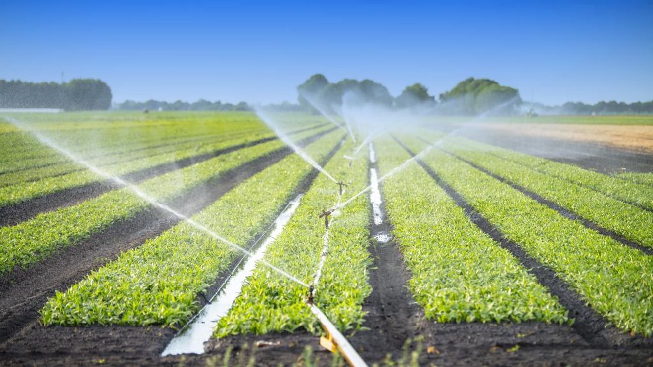 O retrospectivă a irigațiilor în România: După ani de eșec, statul român mai face o încercare cu 1,5 miliarde euro