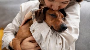 Ce învață copiii după moartea unui animal de companie și cum să-i ajutăm să treacă peste pierdere