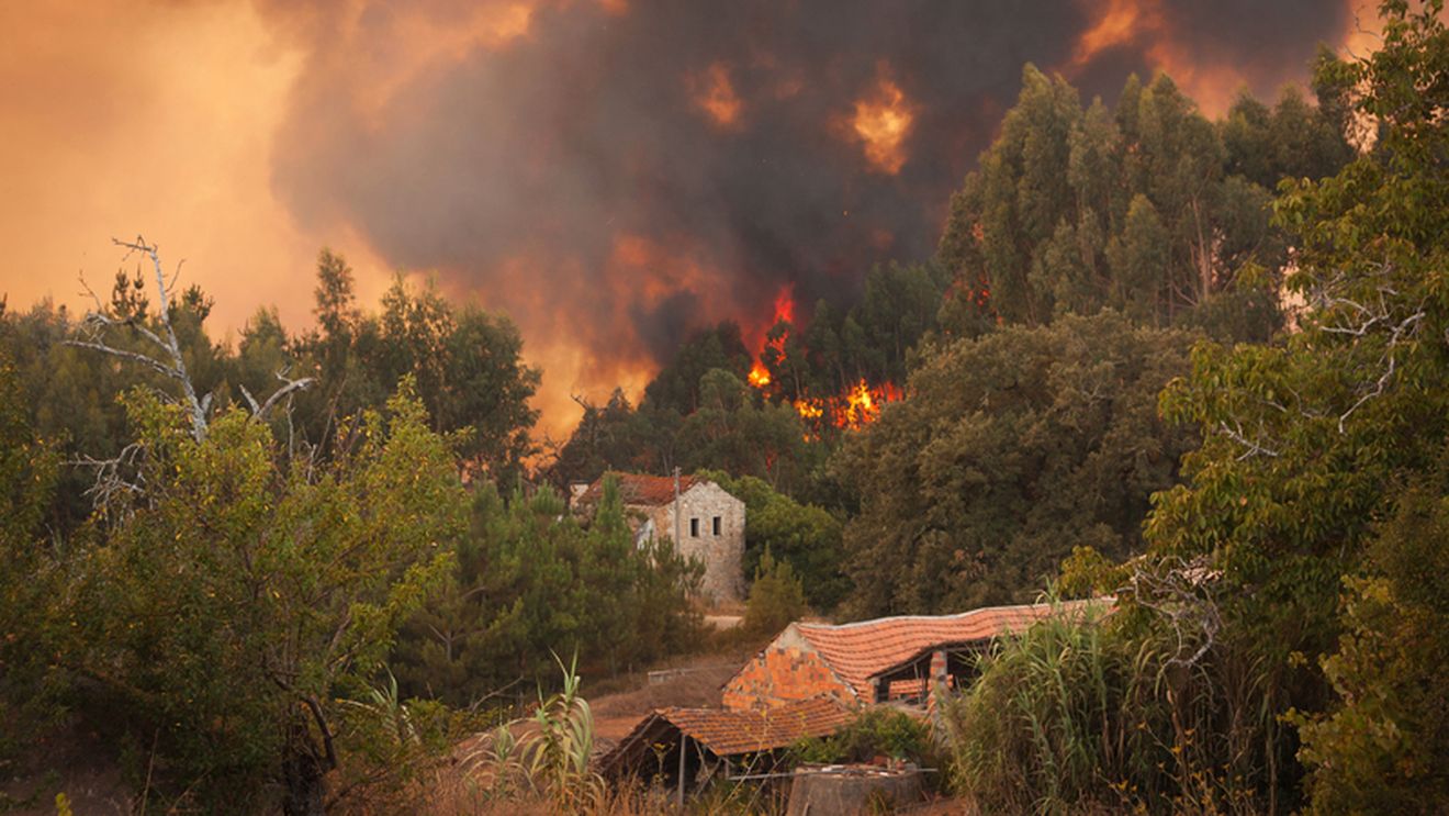 Un pompier a murit în Portugalia după ce a intervenit pentru stingerea unui incendiu de pădure