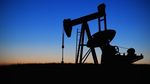 Până la 80 % dintre companiile petroliere globale se vor confrunta cu scăderi semnificative ale producţiei, până în 2040, arată un raport de specialitate