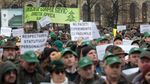 Sindicatele susțin că legea salarizării, în forma actuală, va duce la scăderea cu 25% a veniturilor silvicultorilor