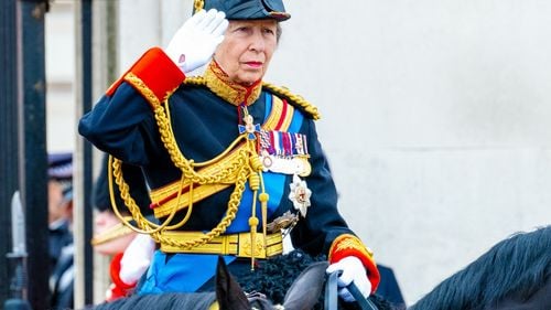 Prinţesa Anne, 73 de ani, internată cu "răni minore şi comoţie cerebrală" / Incidentul ar fi fost provocat de un cal