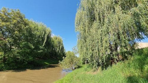 Debit crescut pe Cibin din cauza unor lucrări la baraj. Populația din Sibiu, avertizată să nu stea în zona albiei