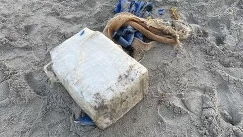Rechinii din largul coastelor Braziliei au fost testaţi pozitiv la cocaină