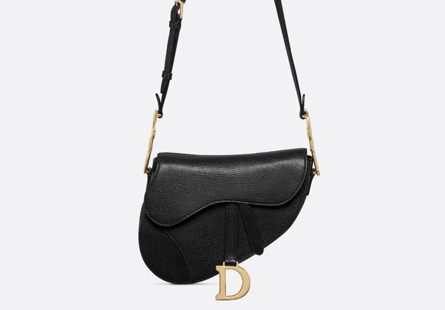 dior saddle bag 