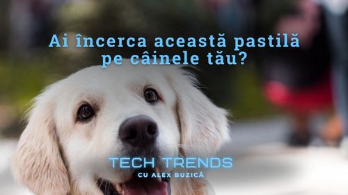 VIDEO Ce se știe despre pastila 002, medicamentul care ar putea prelungi viața câinilor