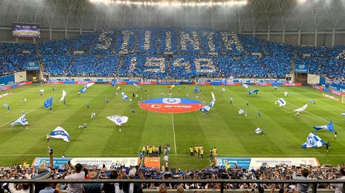 Clubul de fotbal Universitatea Craiova anunţă “un boicot total” al companiilor austriece partenere, după votul negativ al Austriei / Clubul este sprijinit de primăria Craiova, condusă de Lia Olguța Vasilescu