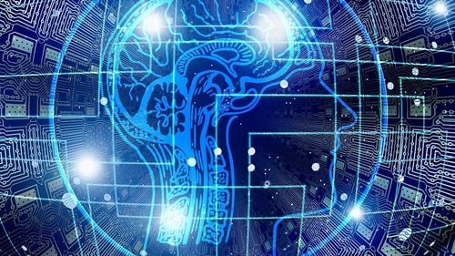 Creierul poate modula intensitatea durerii, amplificând-o sau diminuând-o – studiu publicat în Cell Reports