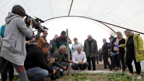 Dragnea, avalanșă de inițiative legislative de campanie: A anunțat depunerea unui proiect de interzicere a exportului de lemn neprelucrat / ”Iohannis avea legătură cu unii cu lemnele”