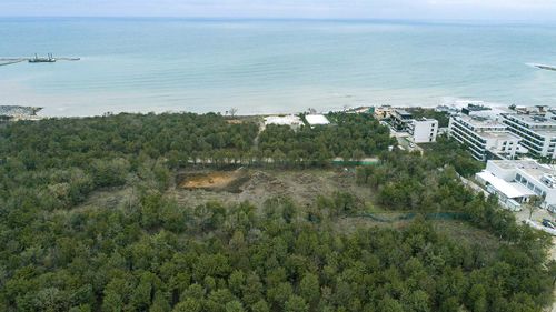 Latifundiarii din Comorova: Cum dispare singura pădure de pe litoral/ Dosarul DNA pe retrocedări și vânzări, clasat pe prescripție (Info Sud-Est)