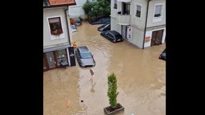 VIDEO Slovenia, lovită de inundaţii de proporţii „biblice”, după cum le descriu salvatorii