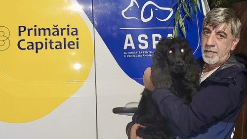 Bărbatul filmat când îşi loveşte câinele, urmărit penal / Anchetatorii au stabilit că animalul a fost lovit în mod repetat / Câinele, preluat de ASPA Bucureşti
