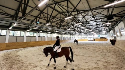 Bază hipică de 23 de milioane de lei, inaugurată la Universitatea de Ştiinţele Vieţii din Iași / Lucrările au început în 2008 / ”Studenţii vor lucra şi vor învăţa modul şi specificul creşterii cabalinelor”
