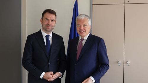 Cătălin Drulă, întâlnire la Strasbourg cu comisarul european pentru Justiție / ”2024 va fi un moment decisiv în lupta împotriva forțelor antidemocratice, atât în România, cât și în Europa”