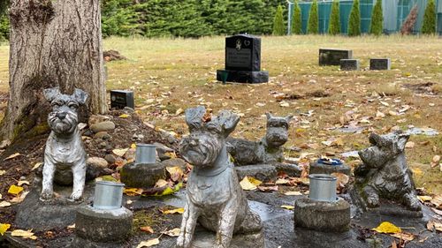 Primarul Clujului, Emil Boc: Începem în 2024 construirea unui cimitir pentru animale de companie / Ele fac parte din viaţa noastră. Să le preţuim
