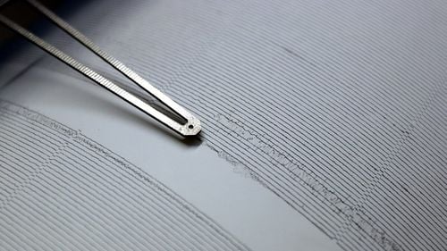 Cutremure cu magnitudinea 4,2 și 4, în zona seismică Vrancea, Buzău