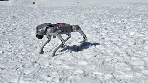 VIDEO Un robot-câine a scanat, în premieră, situl de la Sarmizegetusa Regia / ”A reușit să observe evoluția degradării în timp a monumentului UNESCO”