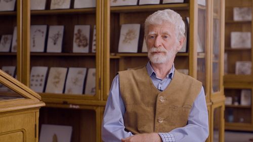 Ajută satele din Transilvania să prospere pe seama naturii protejate / Vezi povestea profesorului de fluturi, vineri, într-un nou reportaj InspiRO