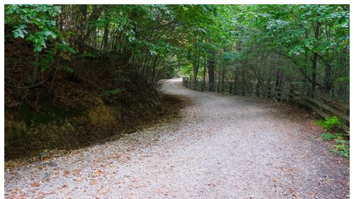Drumul vechi spre Poiana Brașov va deveni aleea de promenadă a Braşovului / Vor fi montați 62 de stâlpi cu lumină ”care să nu deranjeze animalele sălbatice din pădurile din jur”