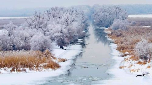 Turiștii care vor să vadă Delta înghețată, înscriși pe liste de așteptare / ”Este linişte, nu mai interacţionezi cu o grămadă de alte bărci”