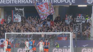Suporter al echipei franceze Olympique Lyon, condamnat la trei luni de închisoare cu suspendare pentru un salut nazist