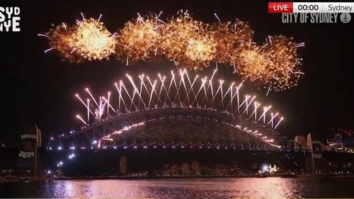 Lumea a întâmpinat 2024 cu focuri de artificii, reflecţii şi un rămas bun regal