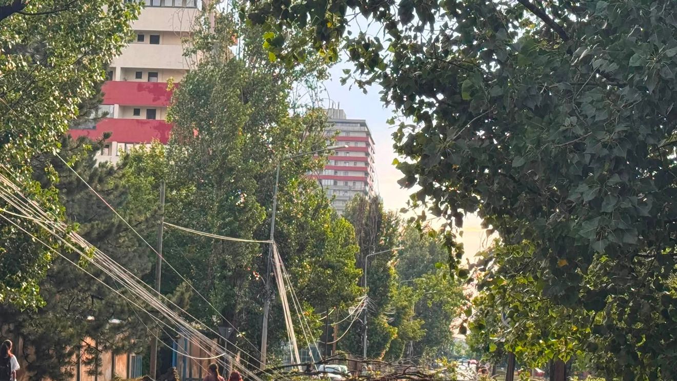 Bilanț în urma furtunii din Capitală: peste 1000 de copaci căzuți, 456 de autovehicule avariate / A fost nevoie inclusiv de sprijinul Armatei pentru evacuarea apei
