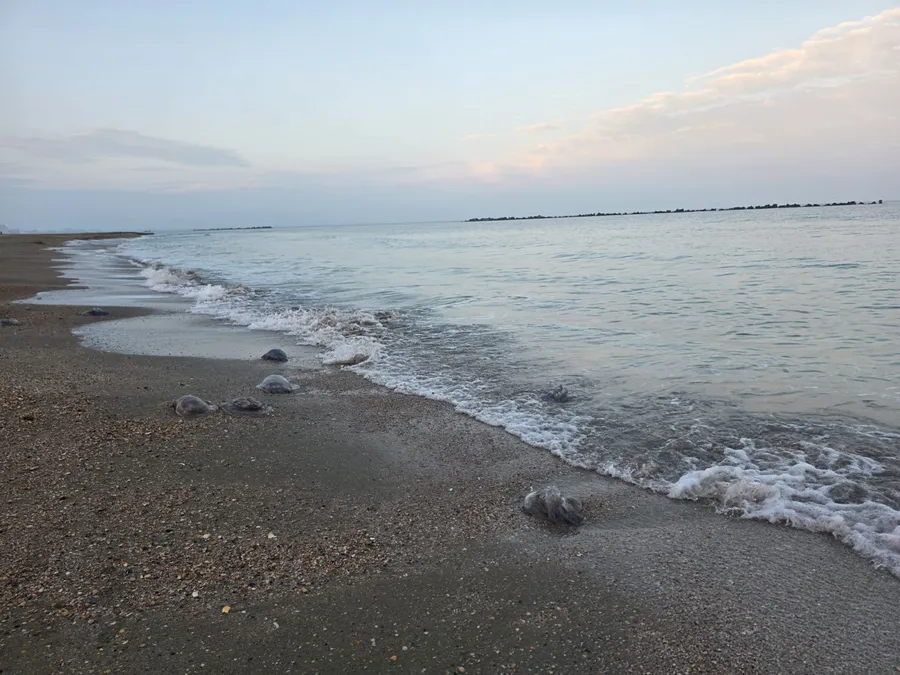 Malul unei plaje din Mamaia acaparat de valurile Mării Negre