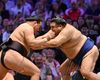 Turneul de sumo revine la Paris după 30 de ani
