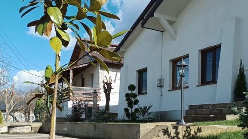 Viața la țară a spaniolului Juan, căsătorit cu o româncă. Cei doi și-au construit o casă într-un sat din Prahova / Ibericul critică calitatea unor servicii și nu înțelege tăierea porcului