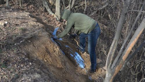 Un cioban din Prahova a descoperit un al doilea mormânt preistoric pe un deal din zona Urlați, după un altul găsit anul trecut / Arheologii spun că mormântul are peste 5.000 de ani și aparține perioadei timpurii a epocii bronzului