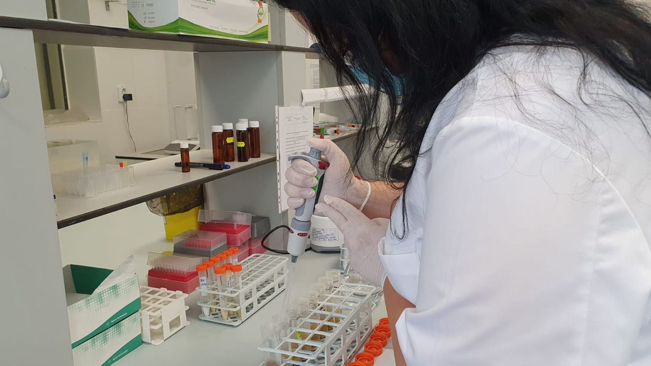 ULTIMA ORĂ Peste 9000 de cazuri noi în ultimele 24 de ore din peste 30 de mii de teste efectuate/ 209 decese și cea mai mare rată de infectare de la debutul pandemiei: peste 28%