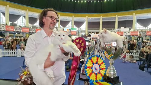 Anul în care animalele de companie din România au cucerit Europa și lumea: Iată campionii care ne-au făcut mândri (FOTO)